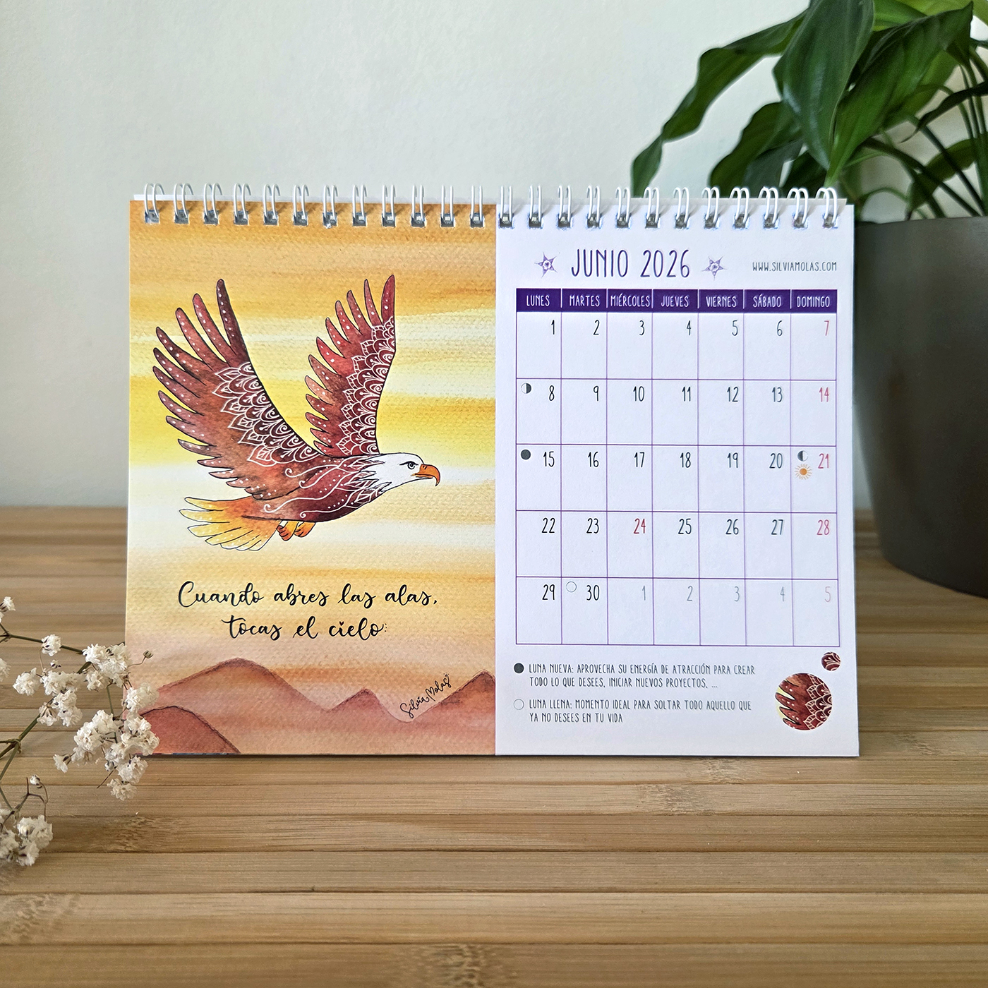 04_CalTaula_Juny_ESP Calendari conscient de taula 2026, idioma castellà
