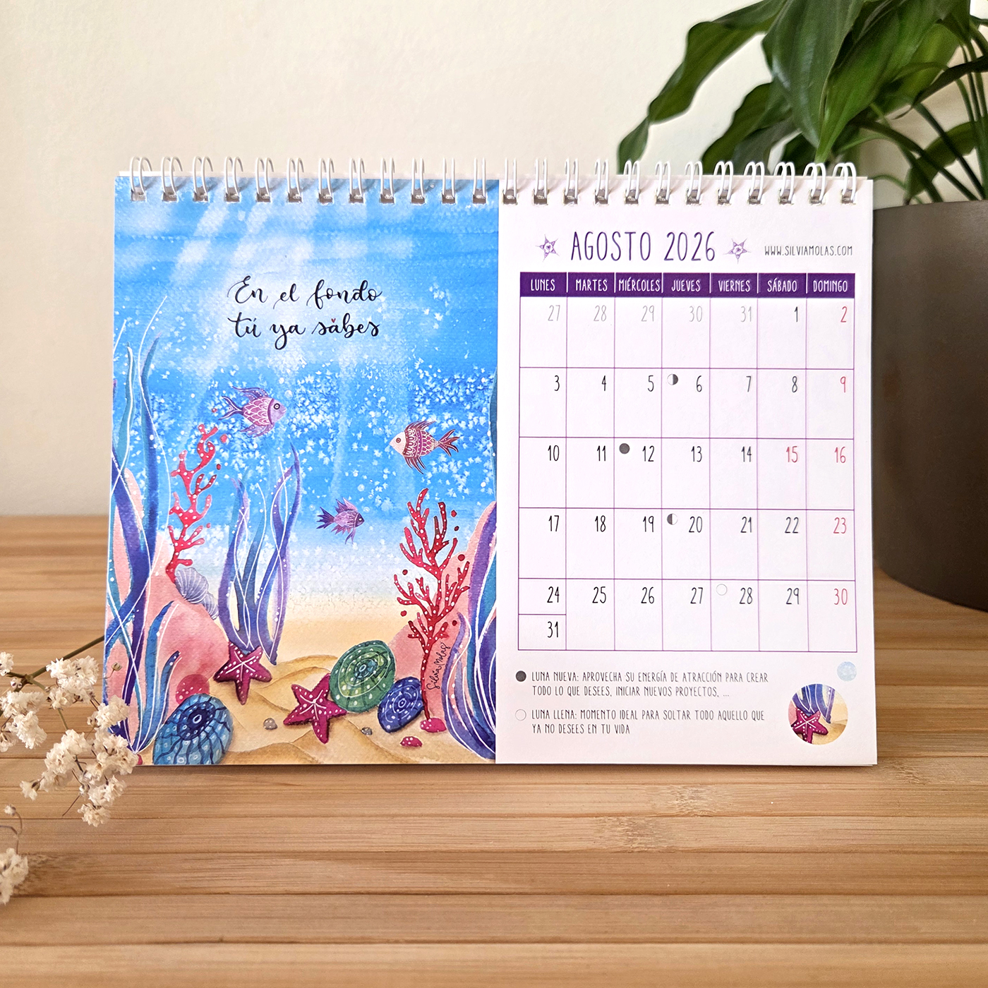 07_CalTaula_Agosto_ESP Calendari conscient de taula 2026, idioma castellà