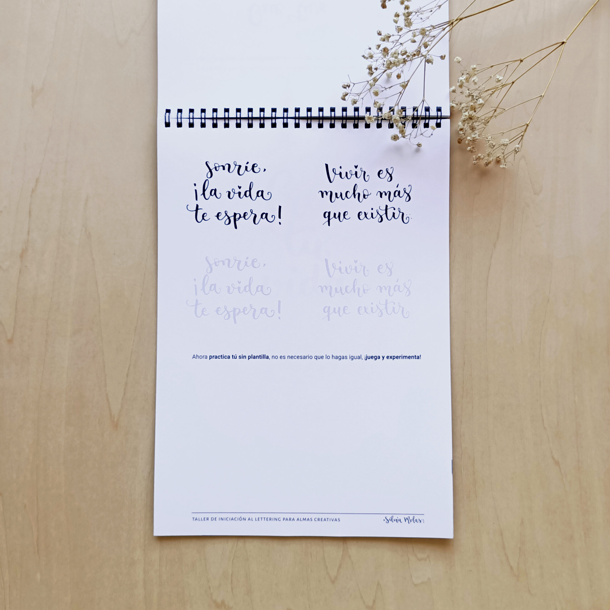 DossierInicLett_ESP_Foto10 DossierInicLett_ESP_Foto10