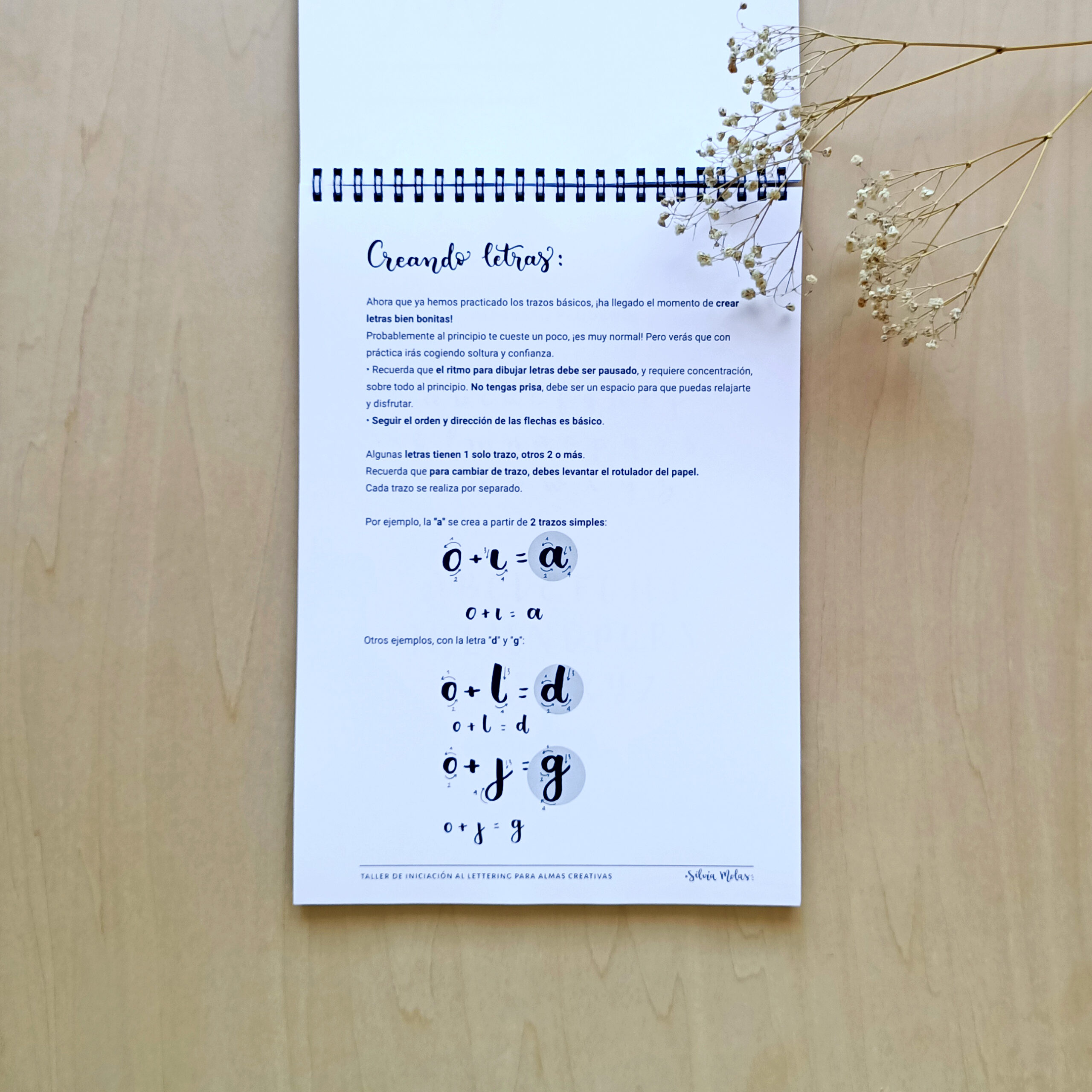 DossierInicLett_ESP_Foto6 DossierInicLett_ESP_Foto6