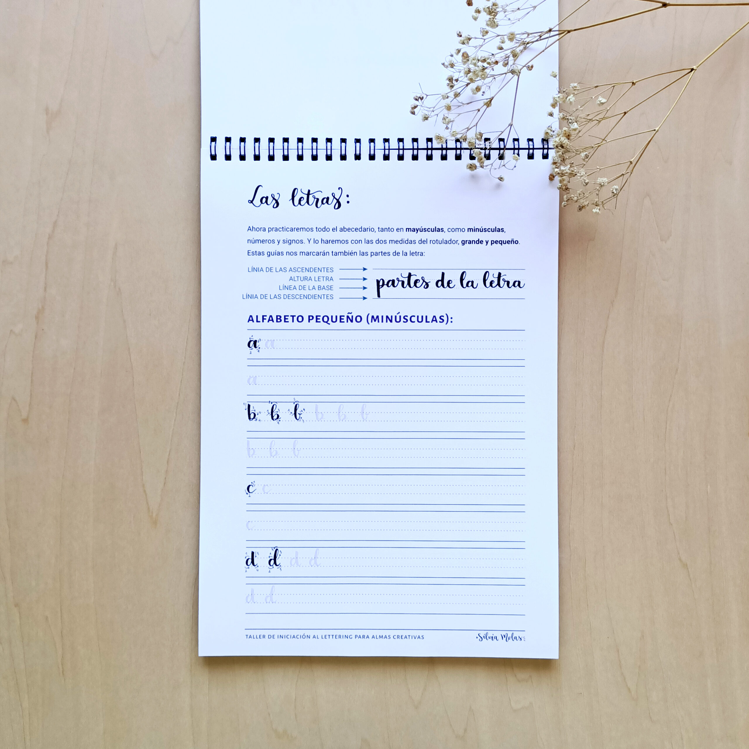 DossierInicLett_ESP_Foto7