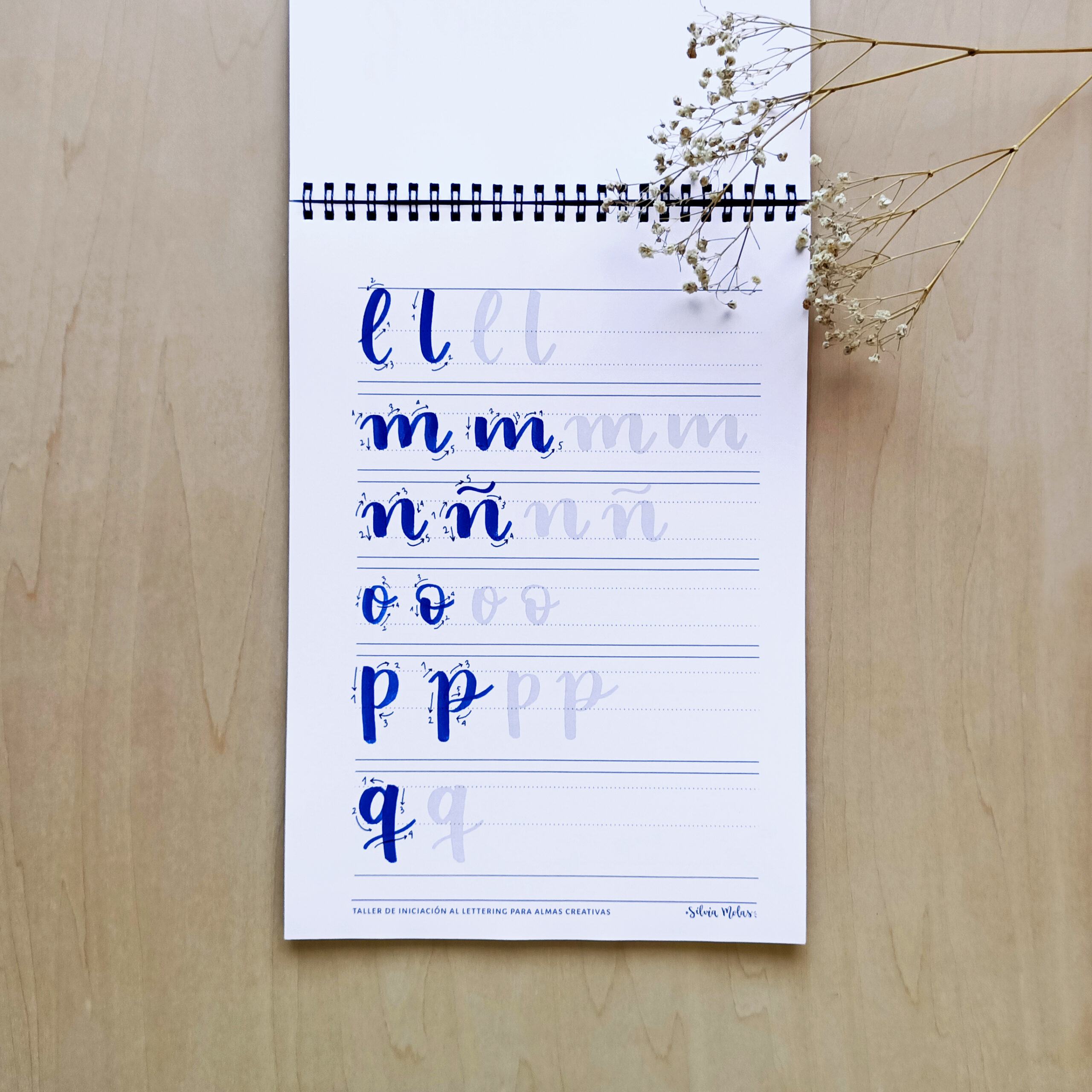 DossierInicLett_ESP_Foto8