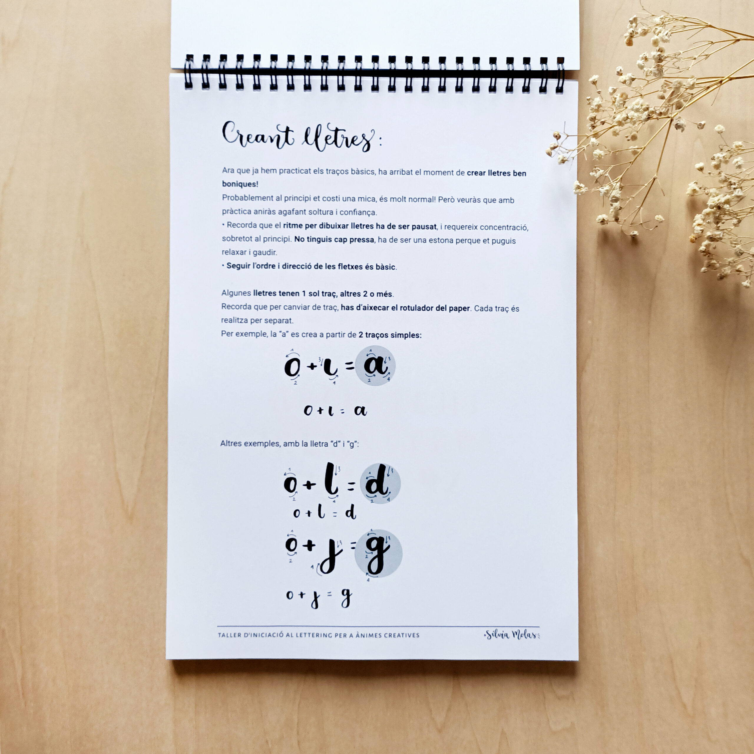 DossierInicLett_Foto5 DossierInicLett_Foto5