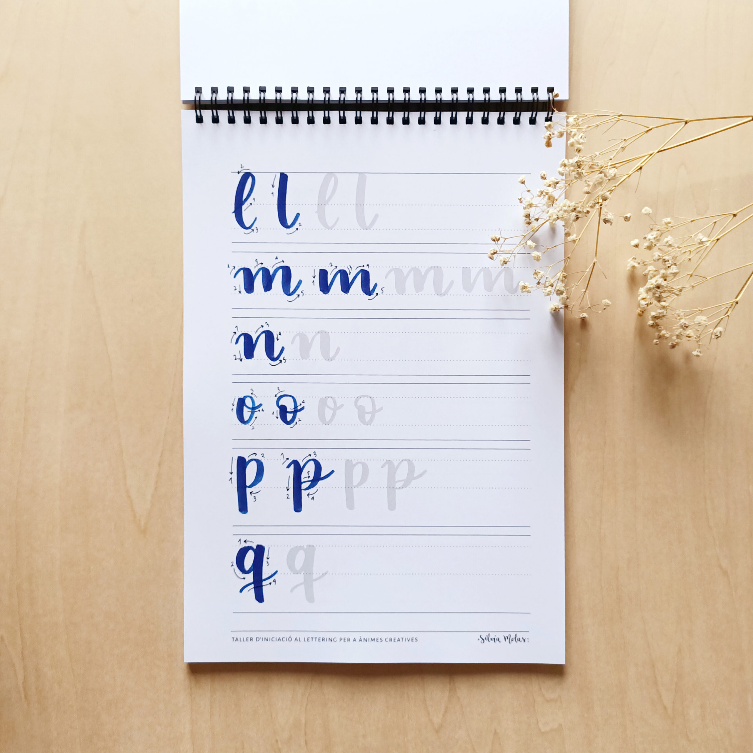 DossierInicLett_Foto6 DossierInicLett_Foto6