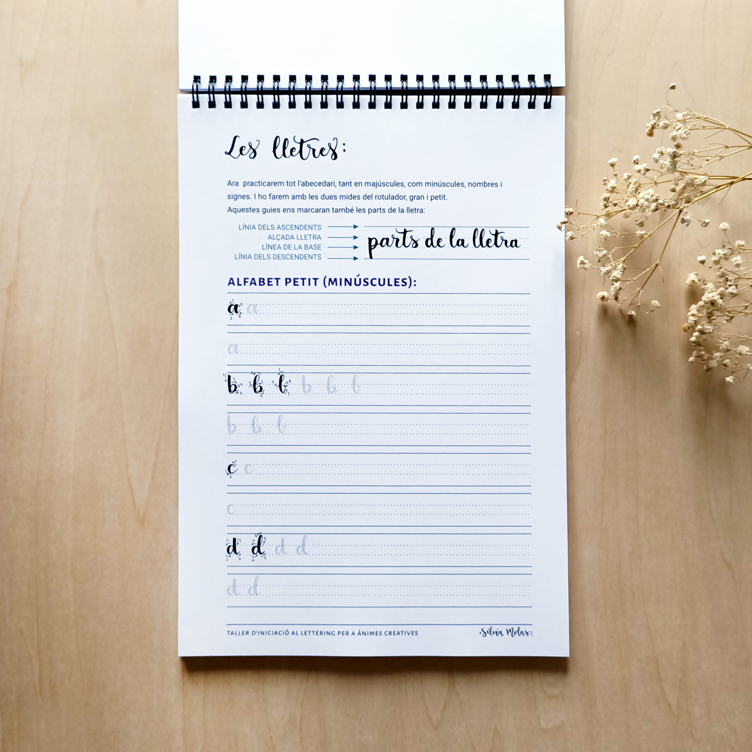 DossierInicLett_Foto7 DossierInicLett_Foto7