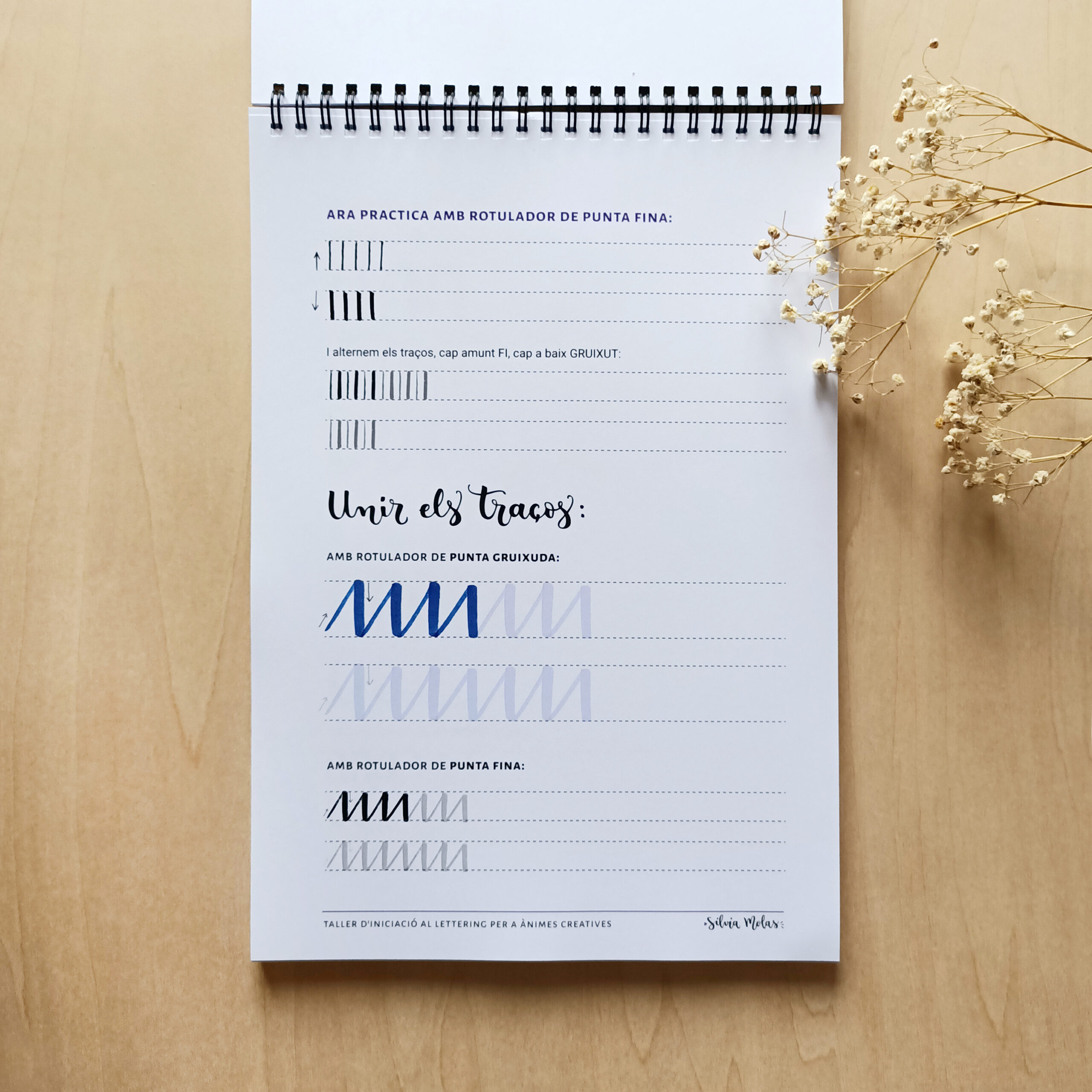 Kit_DossierInicLett_CAT_Foto5 Kit_DossierInicLett_CAT_Foto5