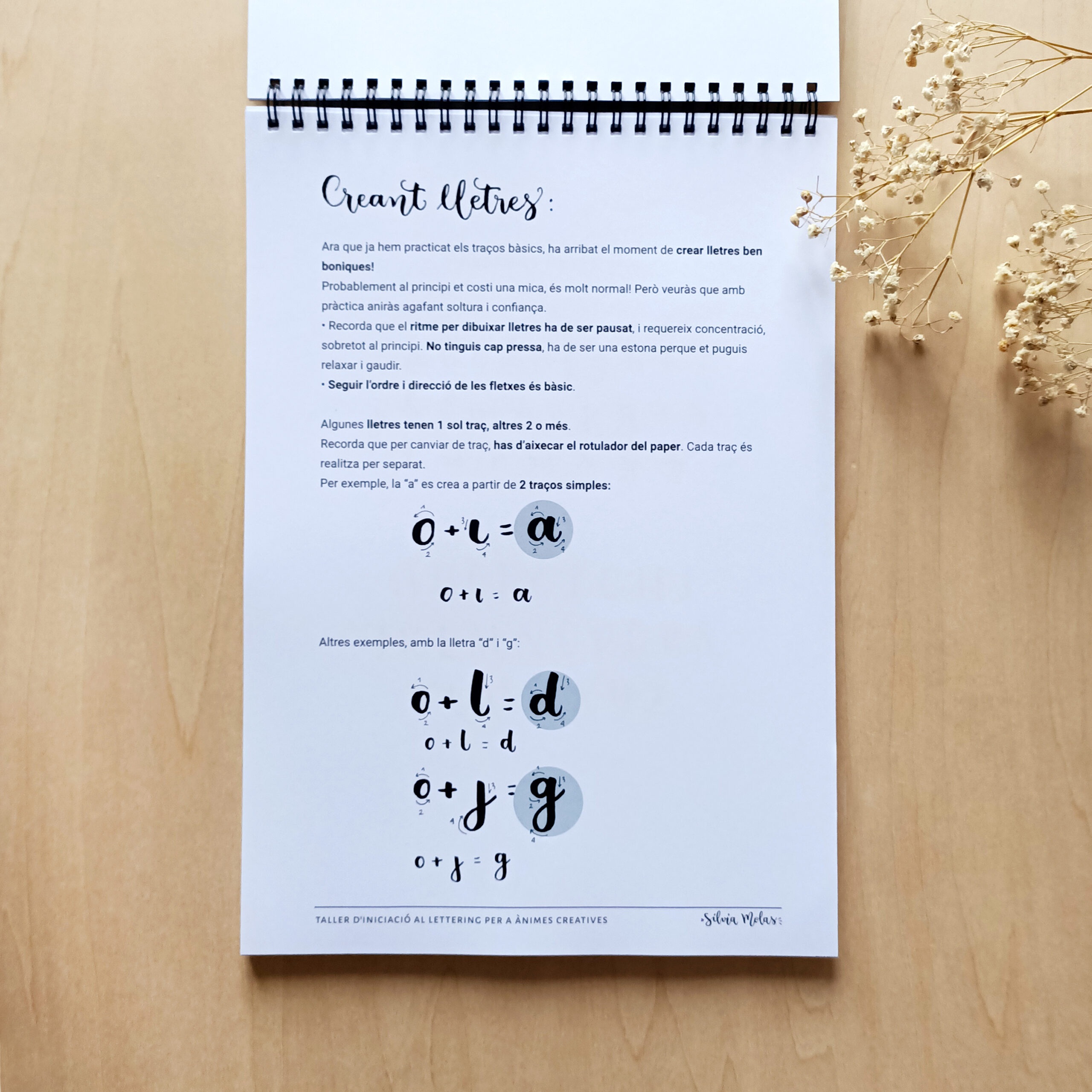 Kit_DossierInicLett_CAT_Foto6 Kit_DossierInicLett_CAT_Foto6