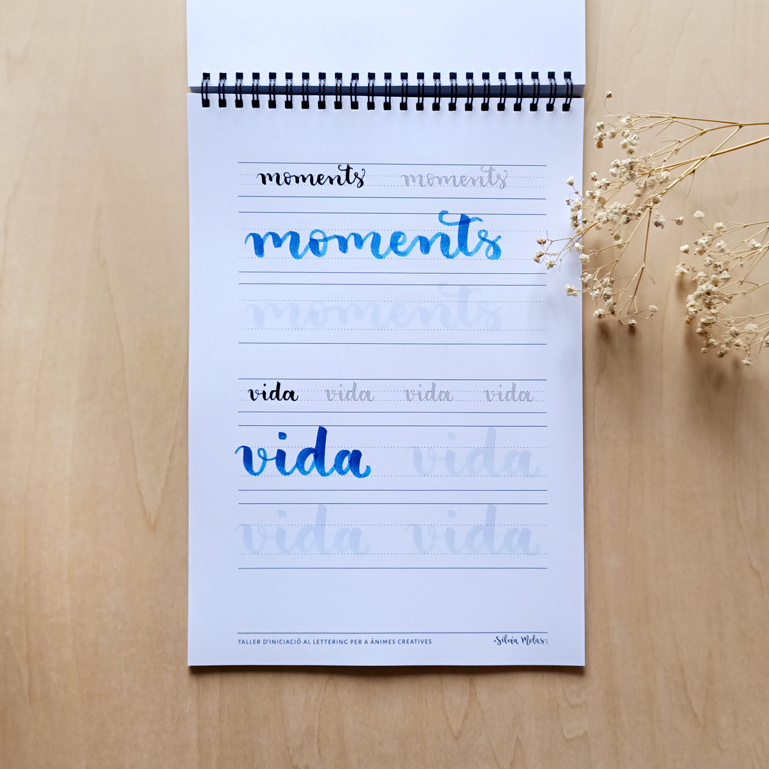 Kit_DossierInicLett_CAT_Foto7 Kit_DossierInicLett_CAT_Foto7