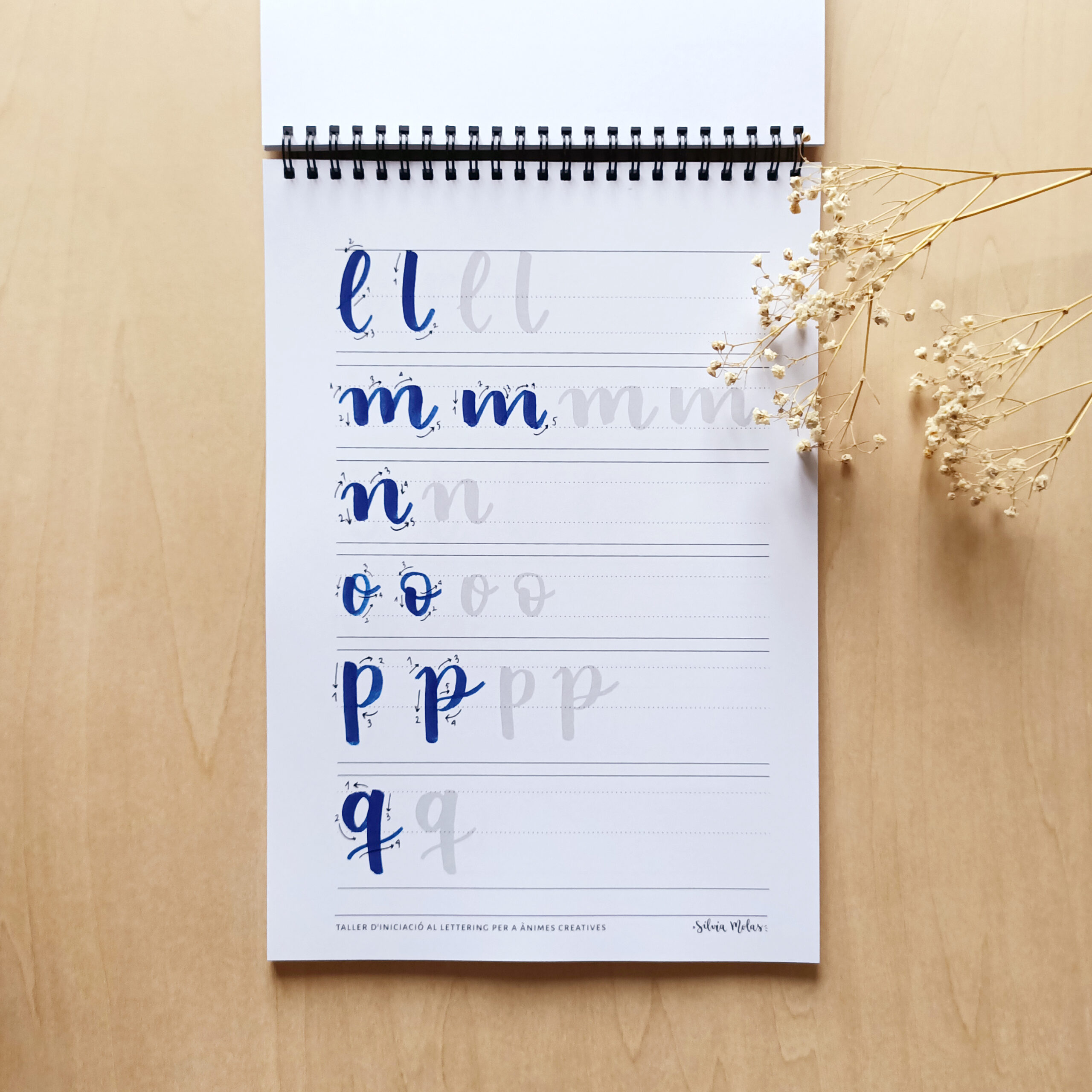 Kit_DossierInicLett_CAT_Foto8 Kit_DossierInicLett_CAT_Foto8