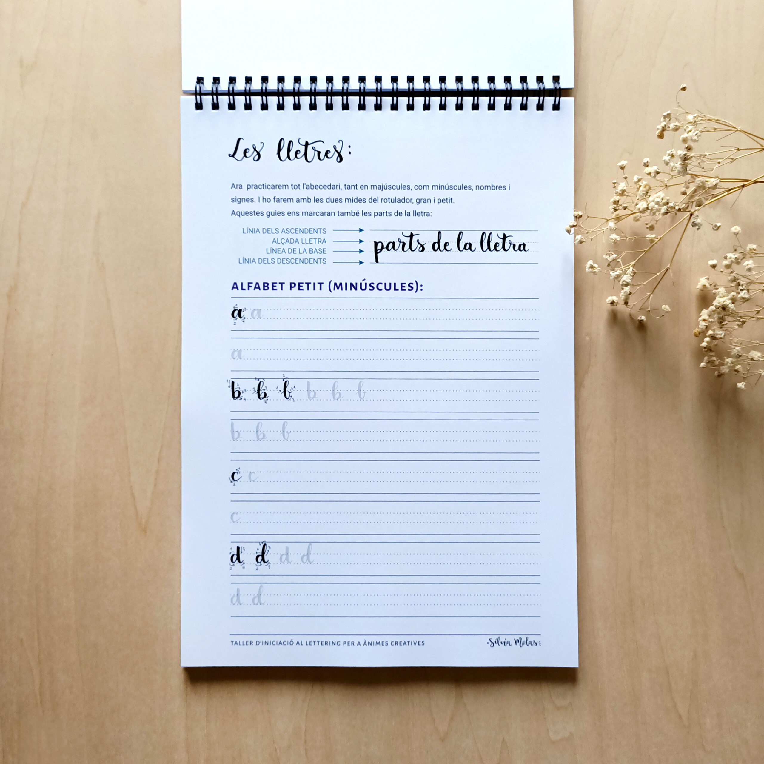 Kit_DossierInicLett_CAT_Foto9 Kit_DossierInicLett_CAT_Foto9