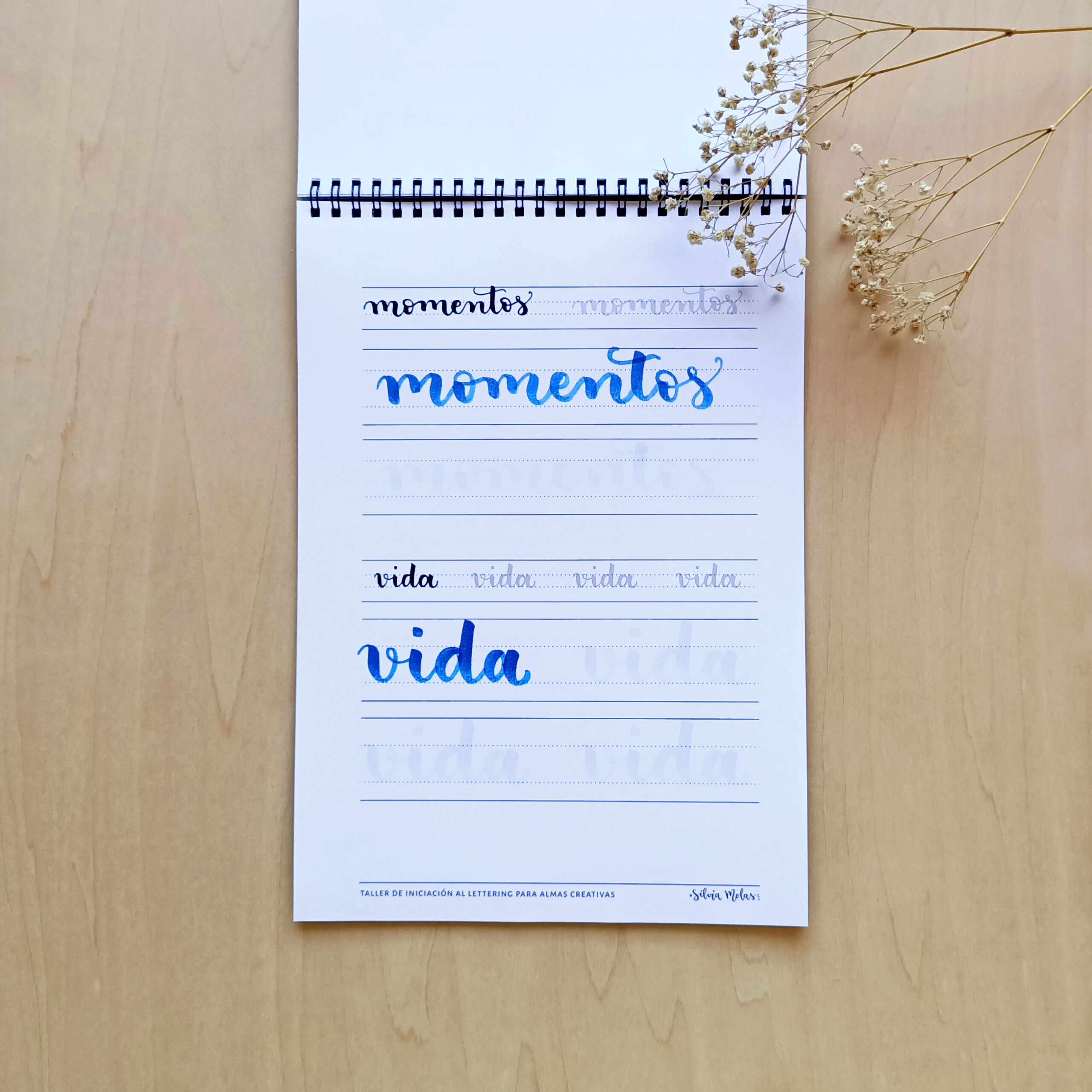 Kit_DossierInicLett_ESP_Foto10 Kit_DossierInicLett_ESP_Foto10