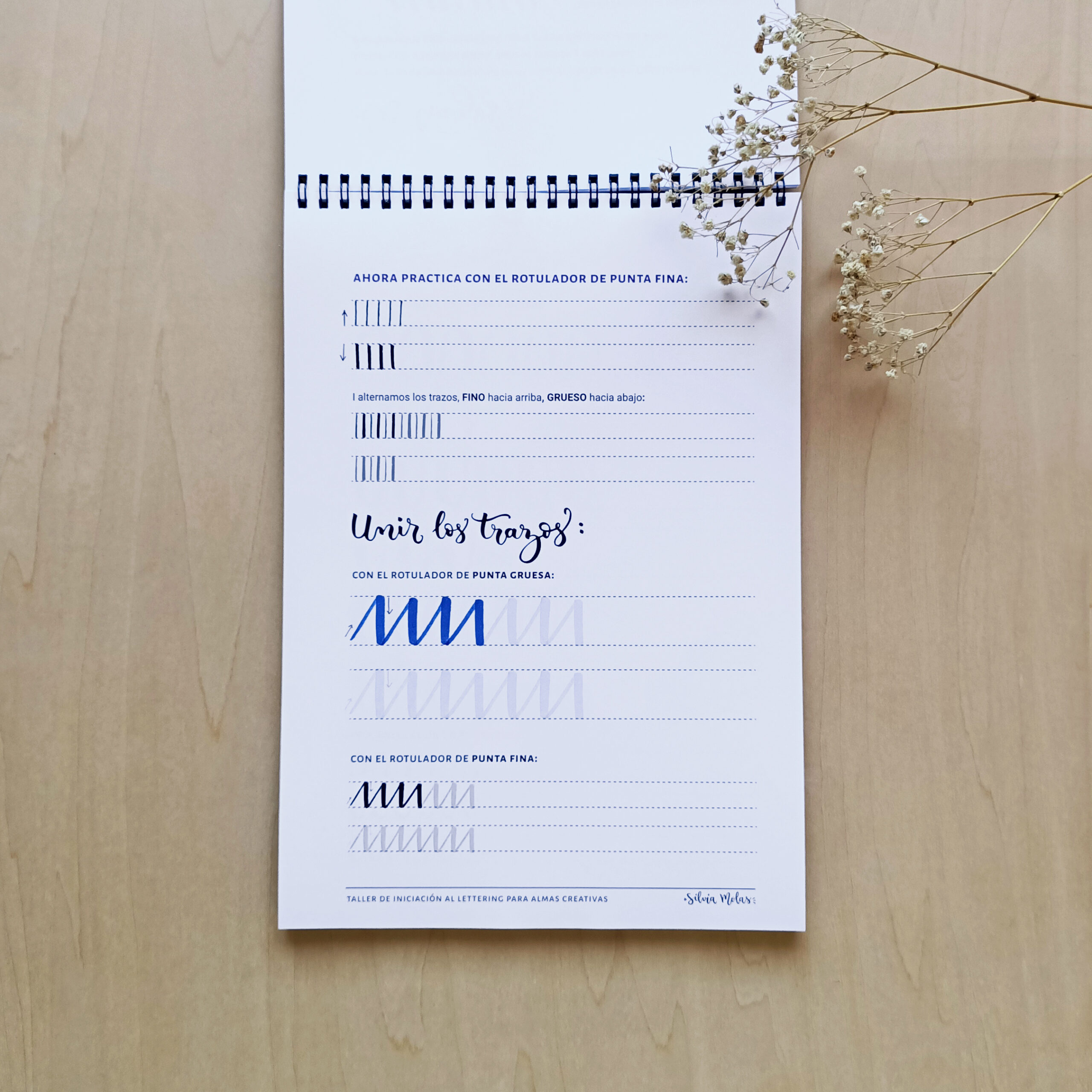 Kit_DossierInicLett_ESP_Foto5 Kit_DossierInicLett_ESP_Foto5