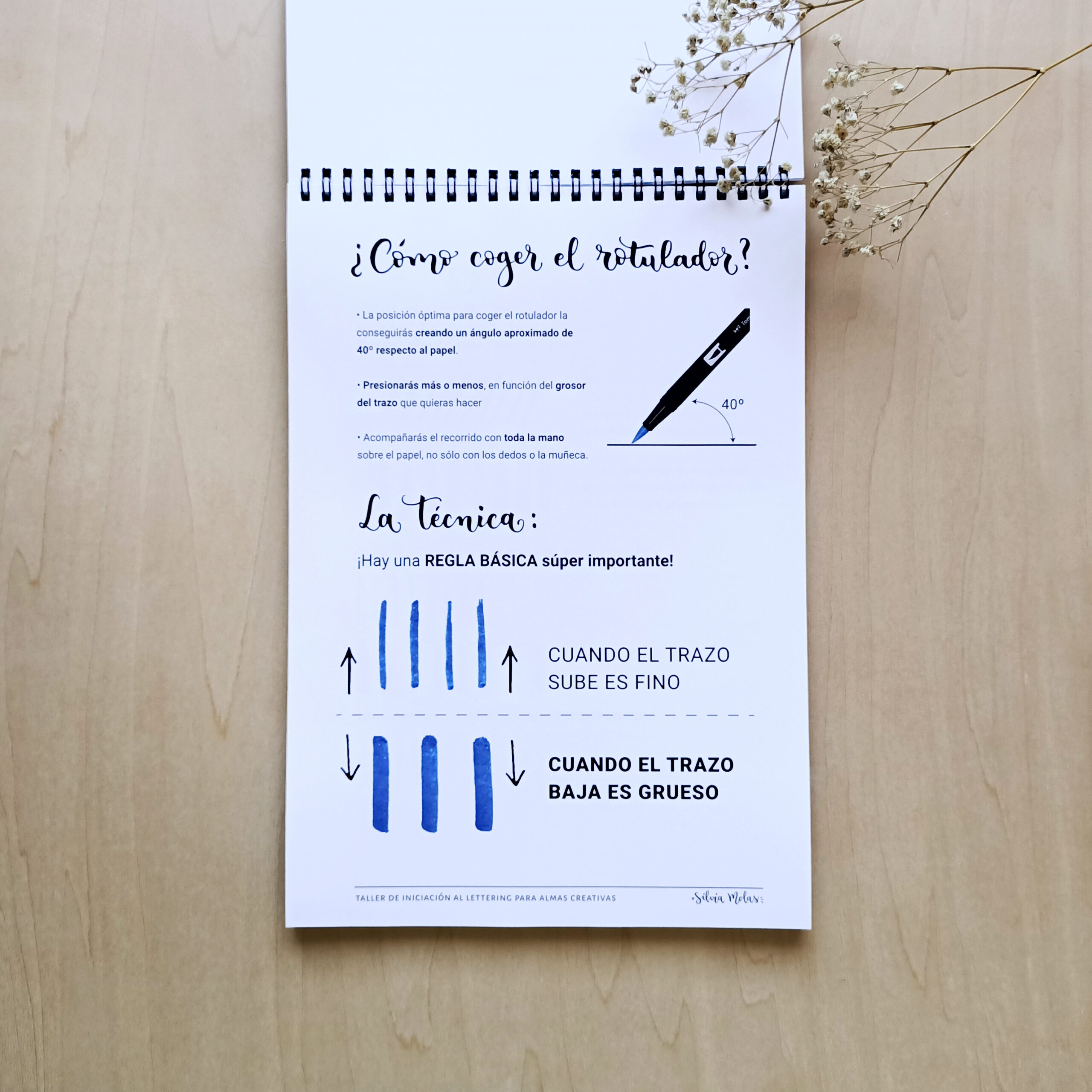 Kit_DossierInicLett_ESP_Foto6 Kit_DossierInicLett_ESP_Foto6