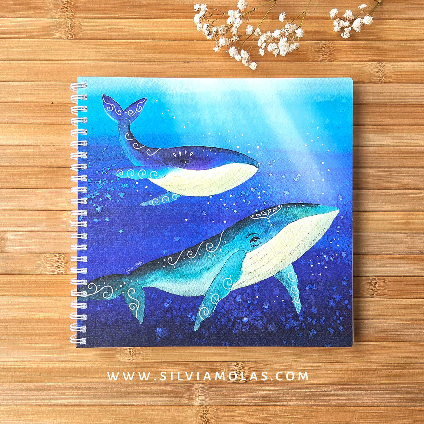 Libreta_20x20_Balenes_Foto2 Libreta_20x20_Balenes