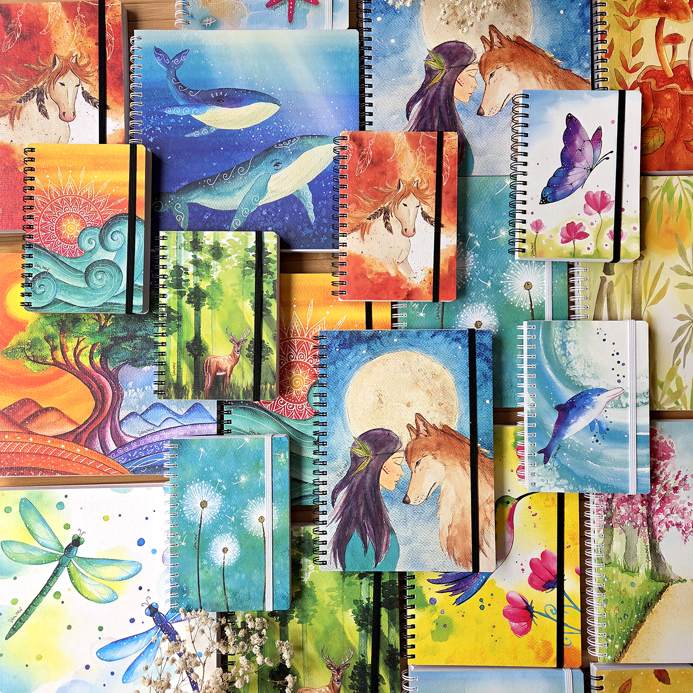 Llibretes Genèrica Categoria