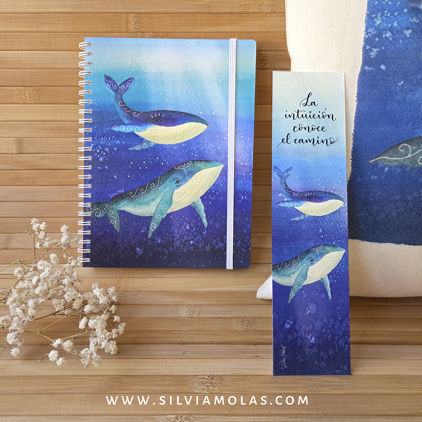 Pack_Colecció_Balenes_CAT_Foto2 Pack colección ”Ballenas”