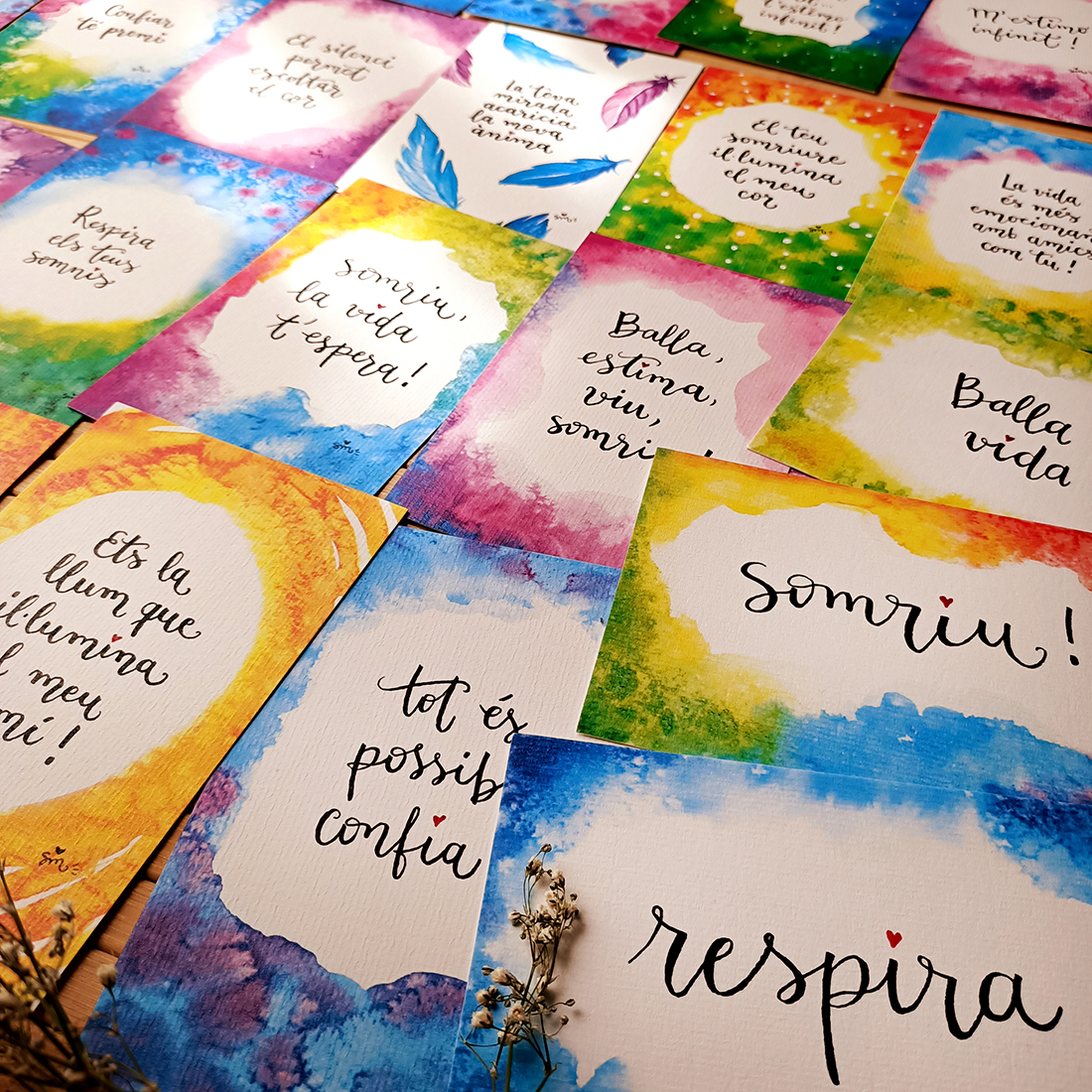 Pack_OUTLET_10x15_CAT_Foto2 Pack_OUTLET_10x15_CAT_Foto2