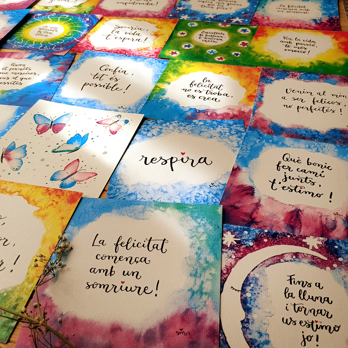 Pack_OUTLET_14x14_CAT_Foto2 Pack_OUTLET_14x14_CAT_Foto2