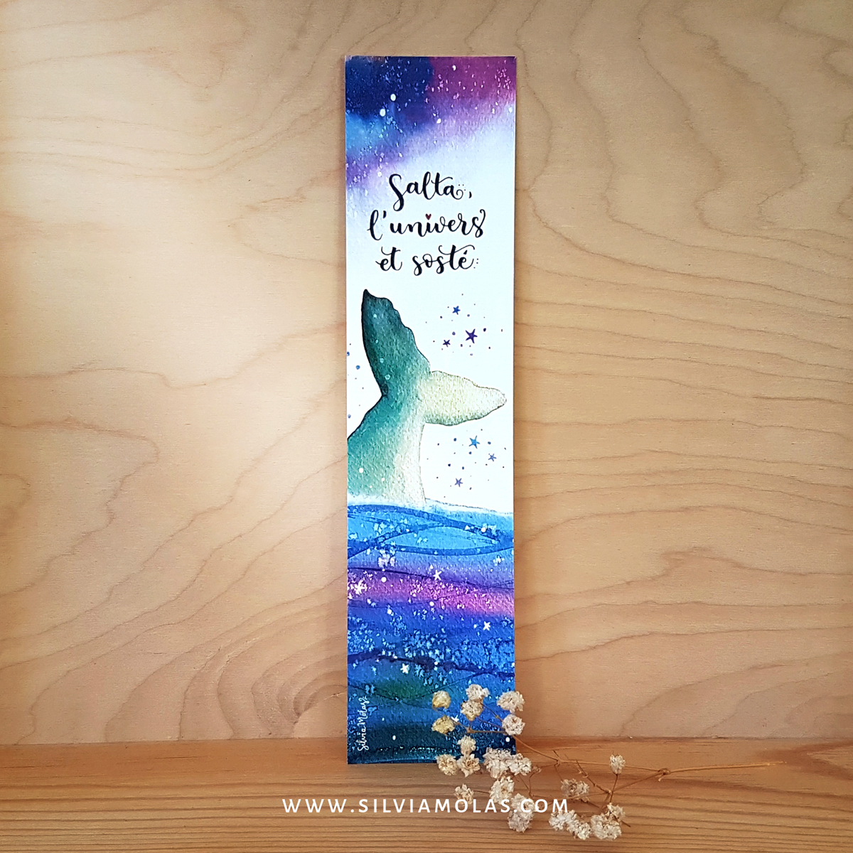 Punt de llibre “Salta, l’univers et sosté”